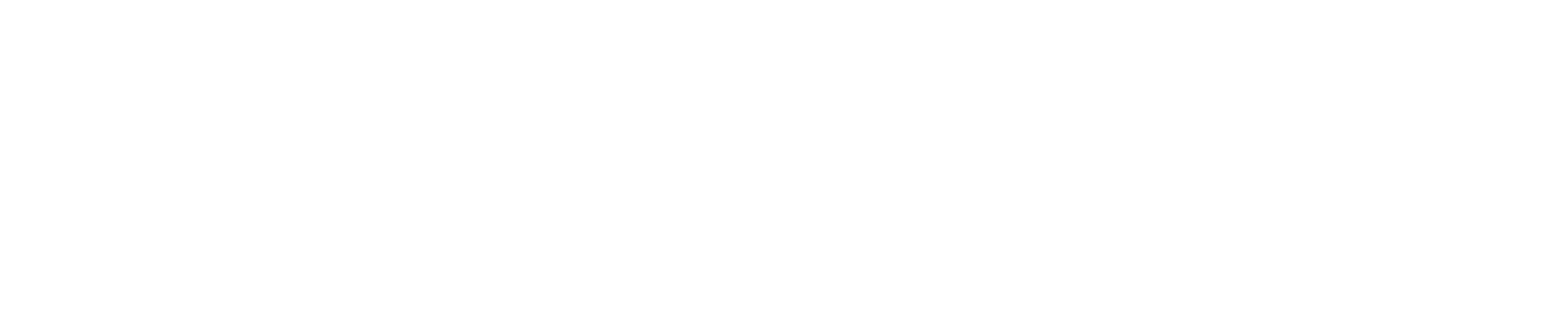 Insightful Edge Therapy Logo - White Logo